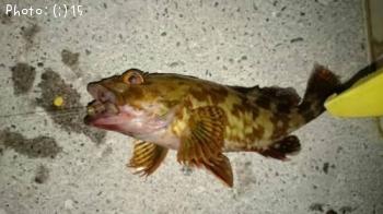 ��ҡ�����������Ф롢�������ᤸ��