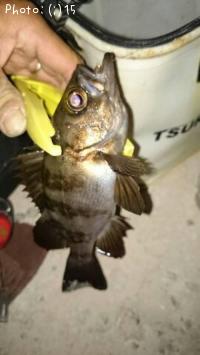 ��ҡ�����������Ф롢�������ᤸ��