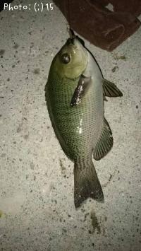 ��ҡ�����������Ф롢�������ᤸ��