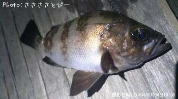 �����Х�����Х�