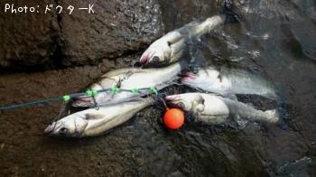 �����Х�