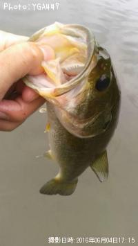 ¥Ö¥é¥Ã¥¯¥Ð¥¹