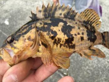 �����Υ���Х�