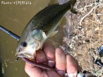 �֥�å��Х�