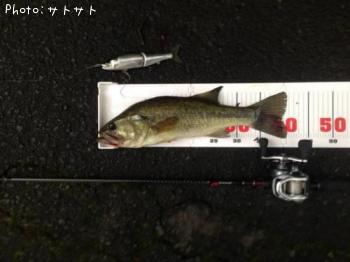 �֥�å��Х�