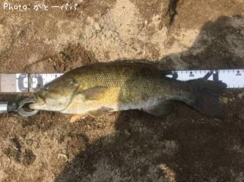 ¥Ö¥é¥Ã¥¯¥Ð¥¹