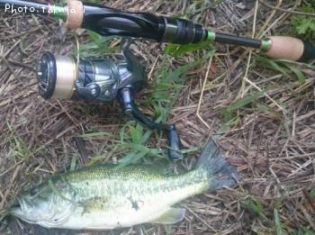 �֥�å��Х�