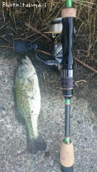 �֥�å��Х�