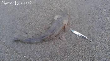 �ޥ���