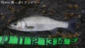 �ҥ饹����