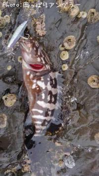 �ҥ饹����