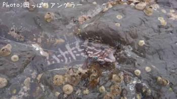 �ҥ饹����