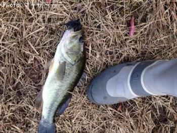 ¥Ö¥é¥Ã¥¯¥Ð¥¹