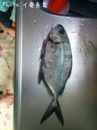 �����ߥ���