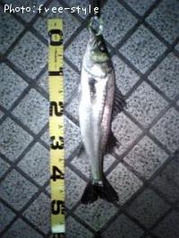 £Ó£å£á£Â£á£ó£ó