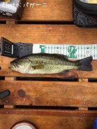 �֥�å��Х�