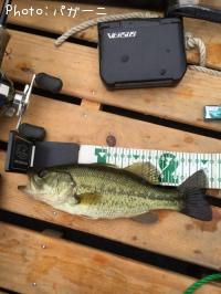 �֥�å��Х�