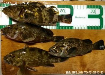 �����Υ���Х�