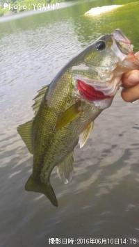 �֥�å��Х�