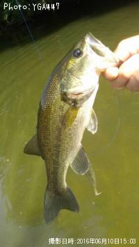 �֥�å��Х�