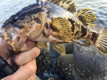 �����Υ���Х�