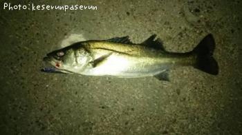 �����Х�