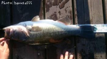 �֥�å��Х�