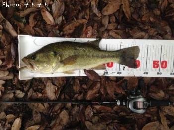 �֥�å��Х�