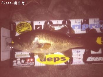 �֥�å��Х�