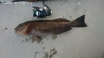 �����ʥ�