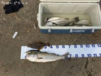 �����Х�¾