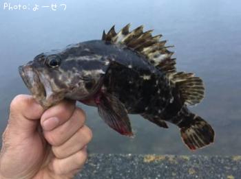 �����Υ���Х�