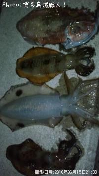 �����ꥤ�������ߥʥꥤ��