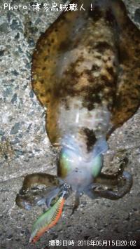 �����ꥤ�������ߥʥꥤ��