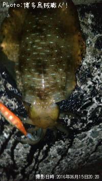 �����ꥤ�������ߥʥꥤ��