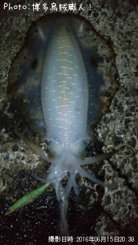 �����ꥤ�������ߥʥꥤ��