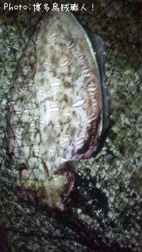 �����ꥤ�������ߥʥꥤ��