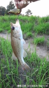 ¥Ö¥é¥Ã¥¯¥Ð¥¹