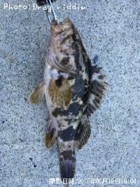 �����Υ���Х�