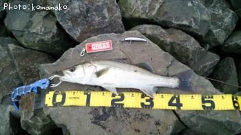 �����Х�