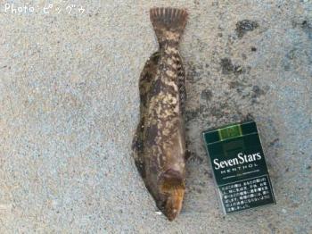 �����ʤ�