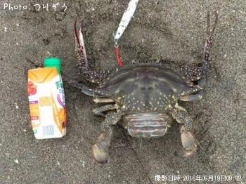 �����ˡ�