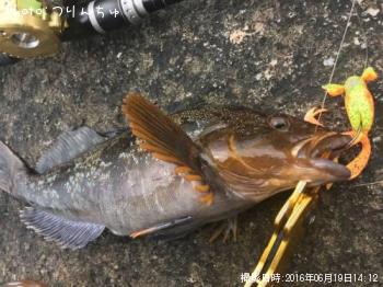 �����ʥ�