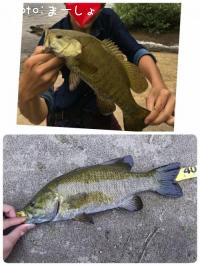 �֥�å��Х��ʥ��⡼��Ǥ�����