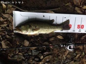 ¥Ö¥é¥Ã¥¯¥Ð¥¹