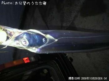 ¥¿¥Á¥¦¥ª