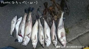 �����Х�