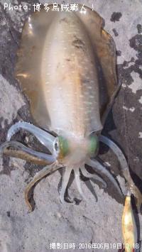 �����ꥤ��