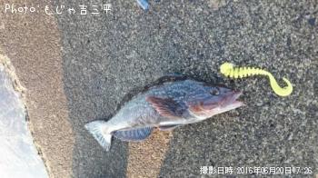 �����ʥ�