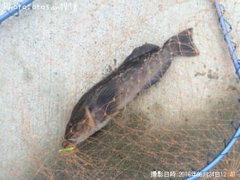 �����ʥ�